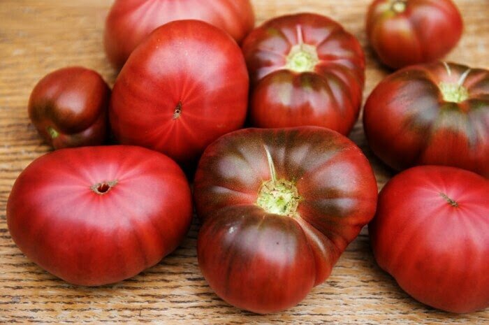 Факты, которые убедили меня не подкармливать томаты бором во время цветения - почему подкормки "по листу" на этом этапе вегетации не имеют смысла. И - когда лучше вносить бор и в каком виде.
