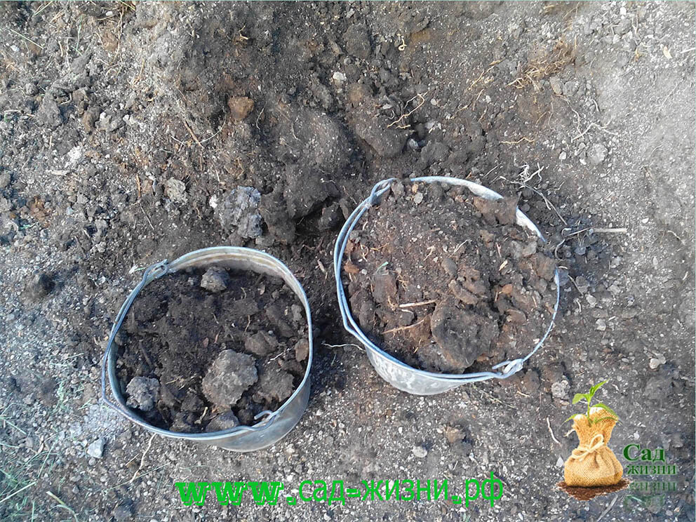 Подготовка грядки с осени