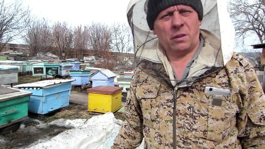 Пасека владимира рябухина