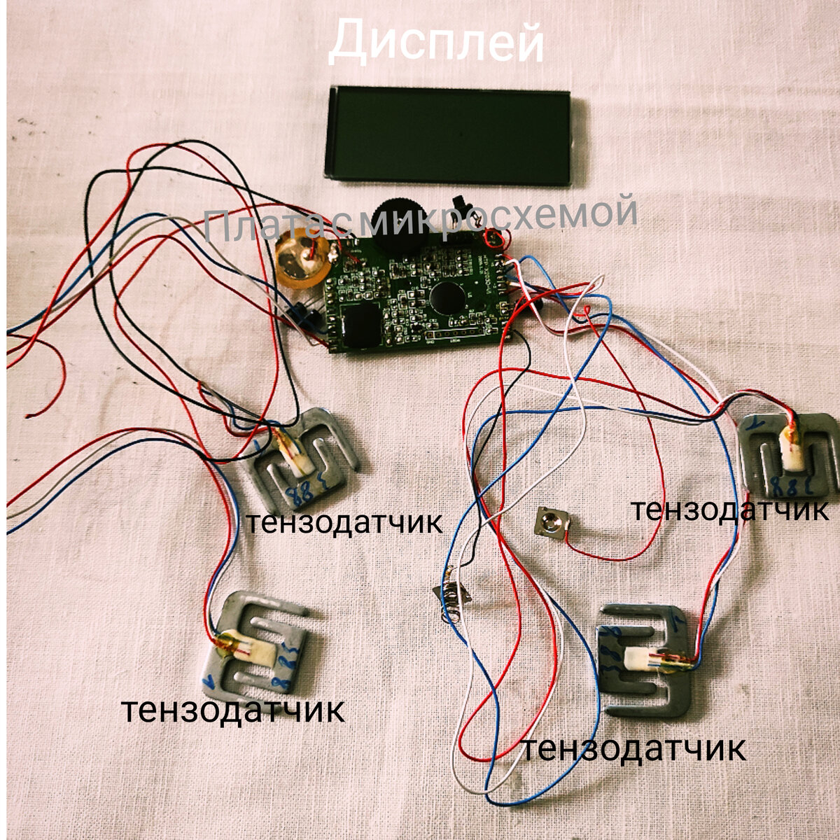 Разобраные весы без корпуса, только это внутри весов 