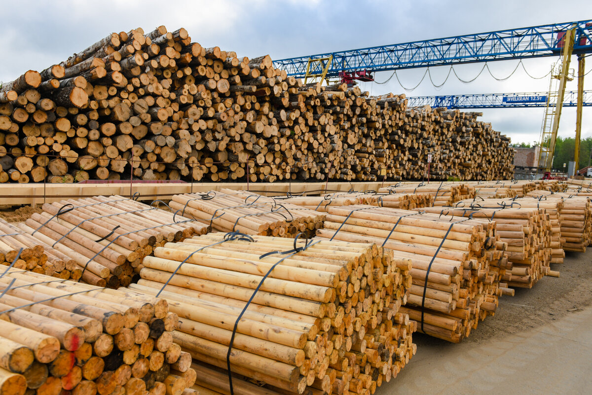 Фото: admin-smolensk.ru