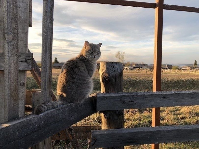 Фото с сайта fotostrana.ru