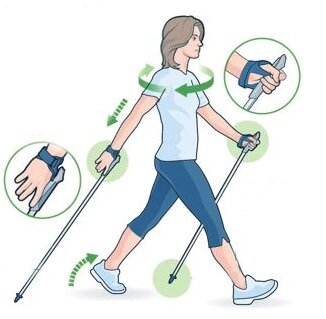 Обратите внимание на технику хождения. Картинка из Яндекса.