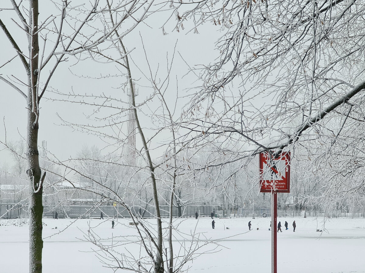 Пруд на районе, фото автора