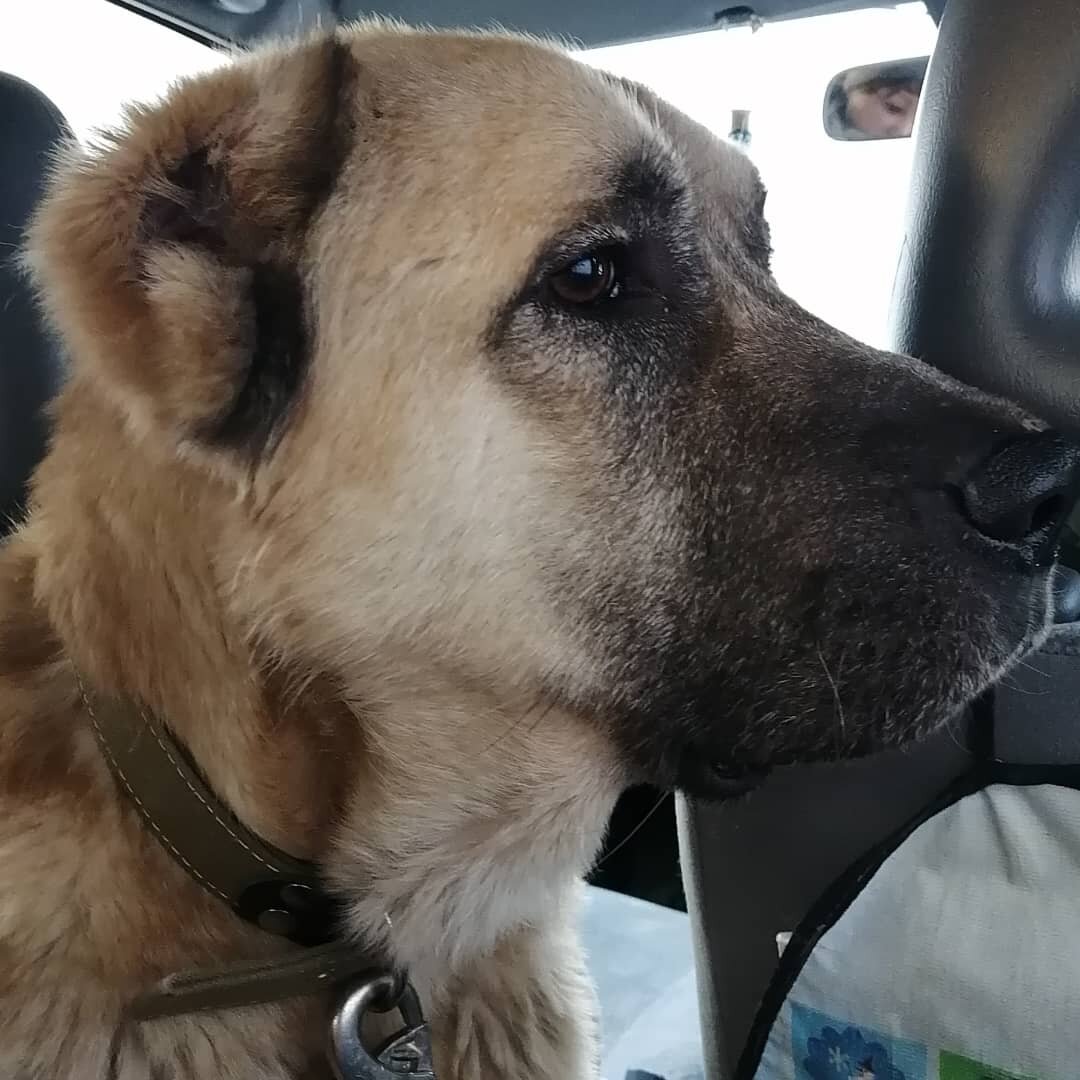 Он невероятный! 