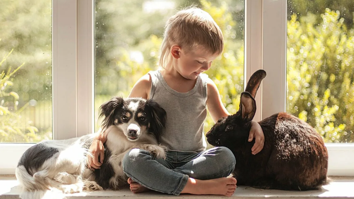 Источник: mypets24.com