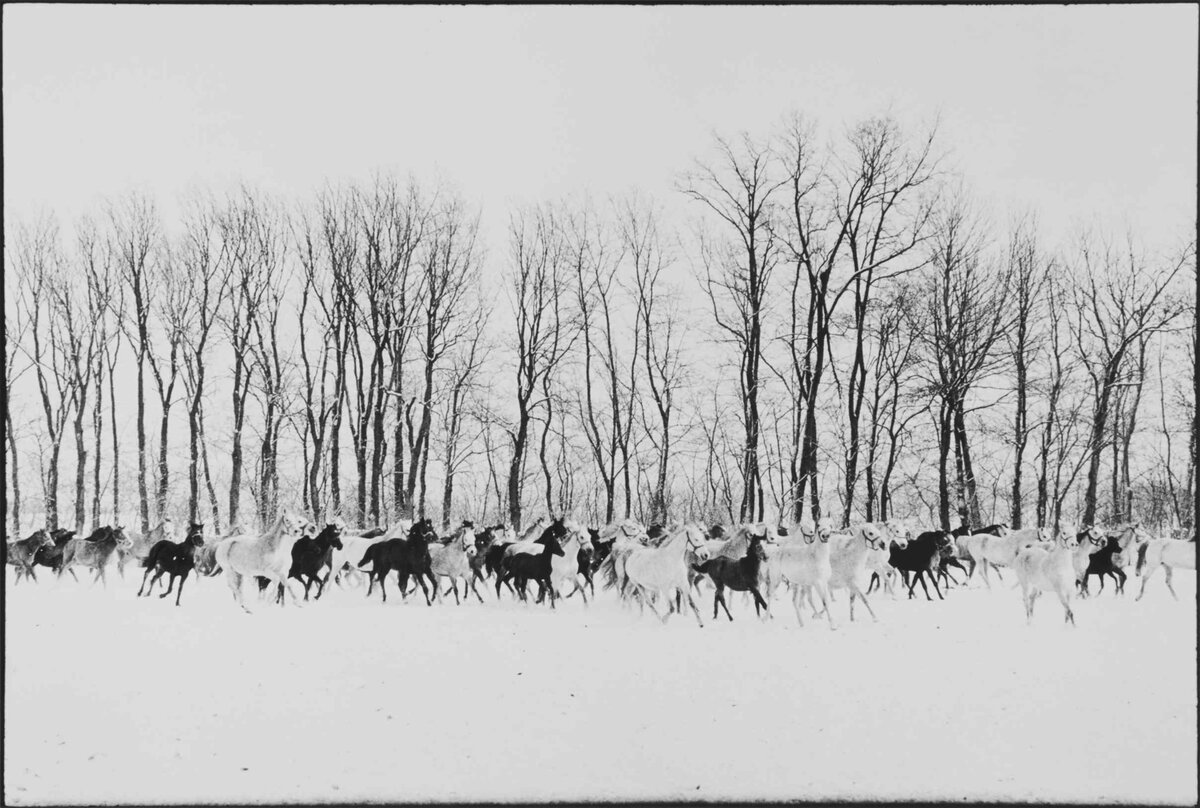 Henri Cartier-Bresson