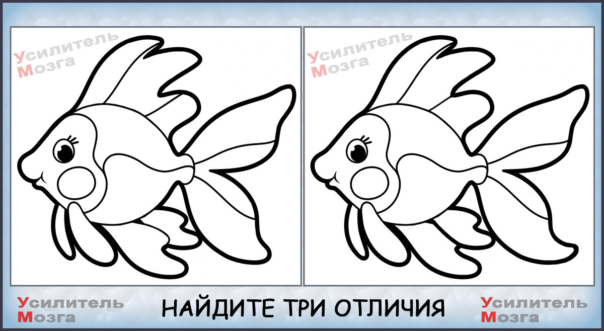 Кто сможет найти 3 отличия на картинке?Тест на внимательность | УМ -  Усилитель Мозга | Дзен