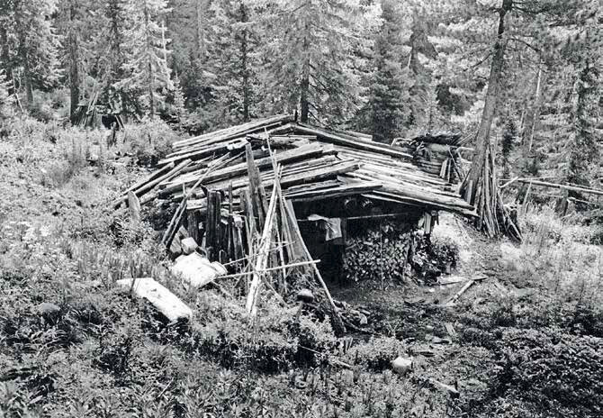 Та лачуга, в которой жили Лыковы, когда их нашли геологи. Фото из открытых источников