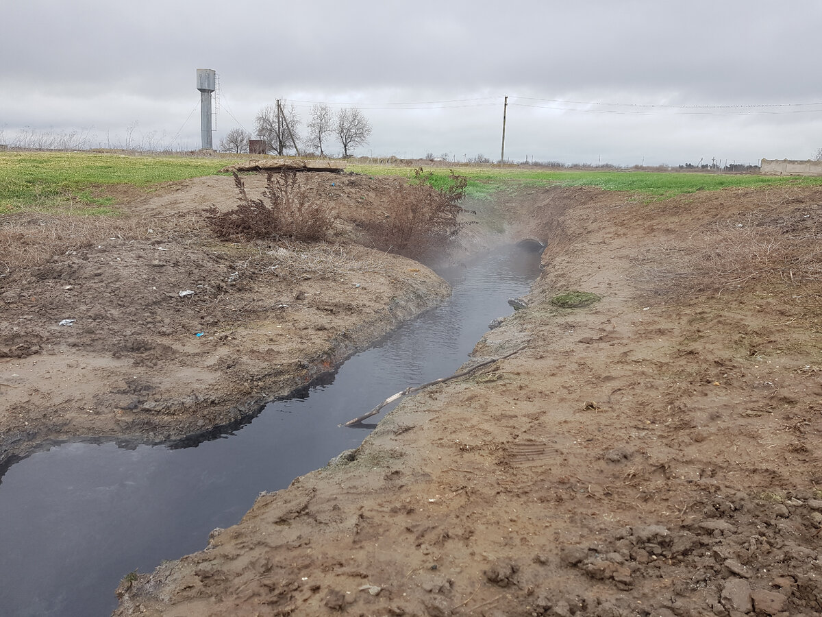 Вода - это жизнь. Где окунуться в Крыму зимой с пользой для здоровья и не  замёрзнуть. Ну и попить живой минеральной воды. | Добрый Крым. | Дзен