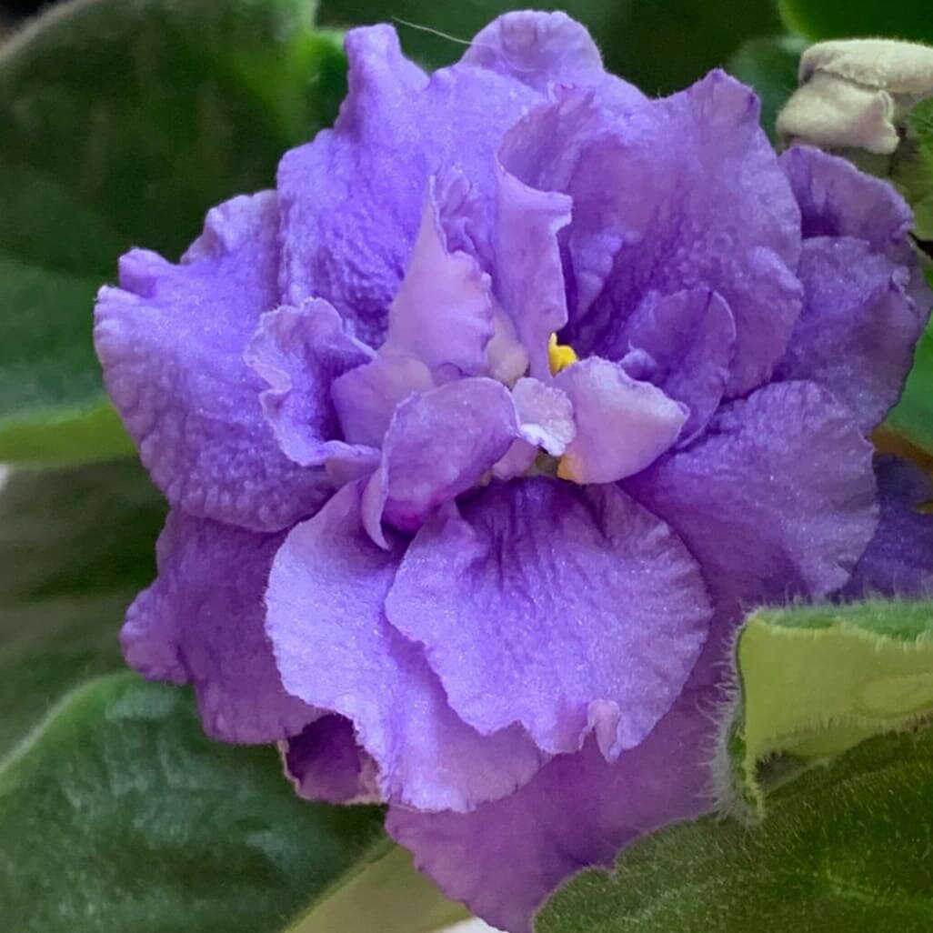 РС Щедрый май (sport)