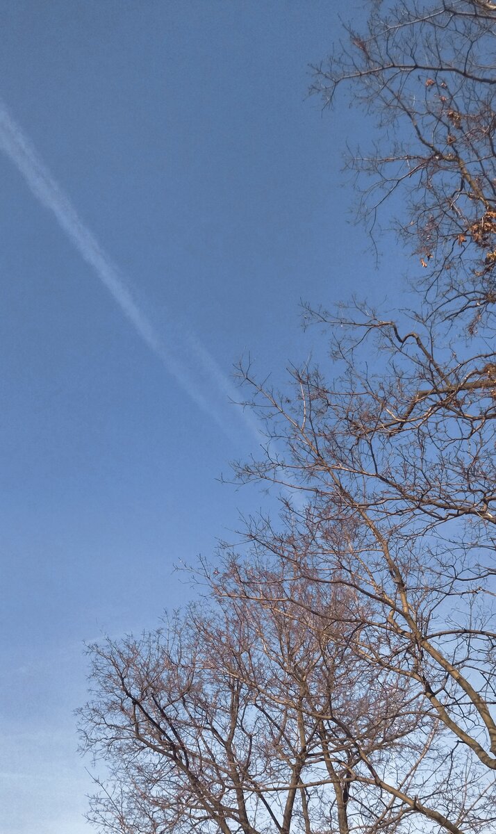 Зима. Февраль. Небо. Прогулка моя. Фото моё. 