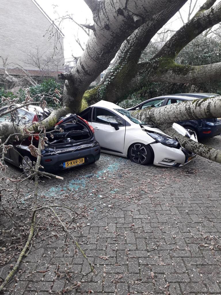 Это фото прислали моя хорошая знакомая Анастасия