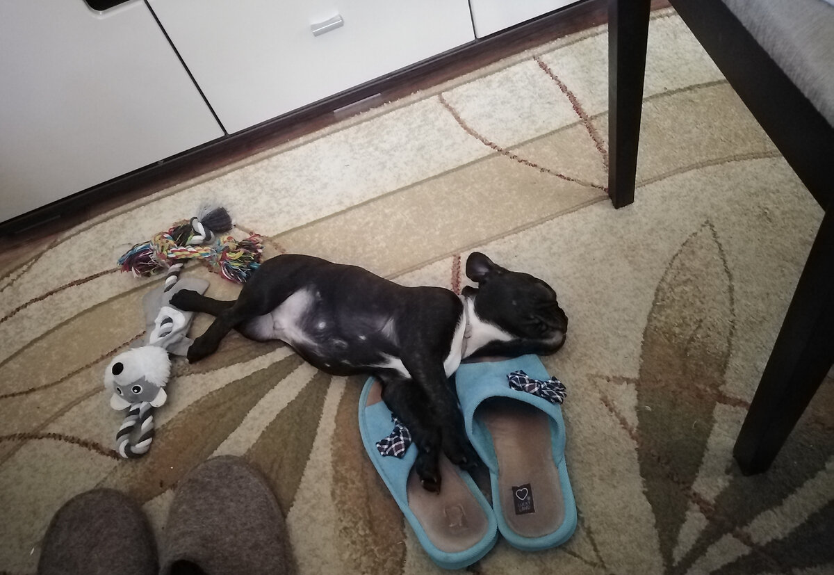 Фото автора