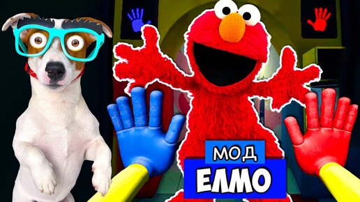 Télécharger la video: 🔴 Элмо - это Хаги Ваги 😱 Elmo в Poppy Playtime