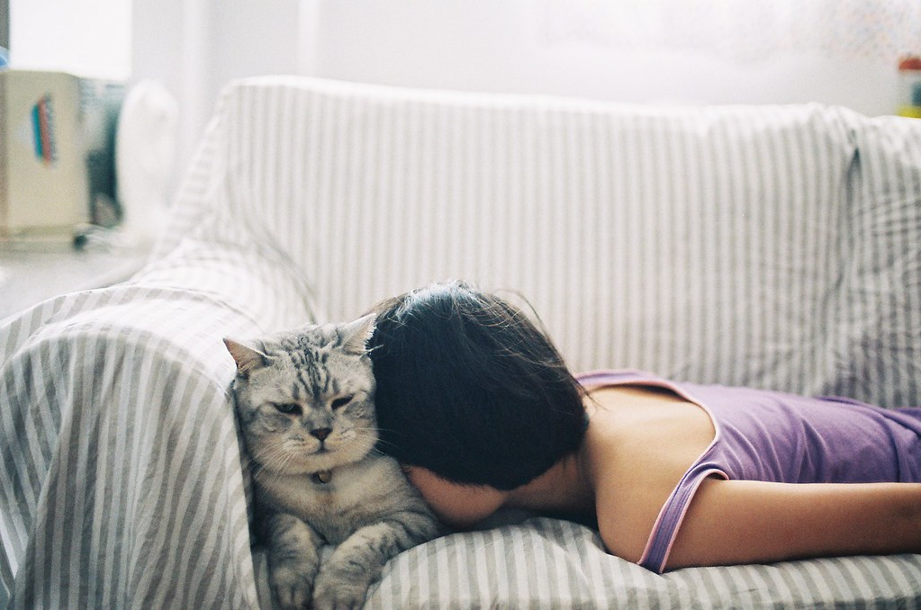 приколы с собаками, котята, милые видео, смешные и милые кошки, приколы кошки, милые кошки, смешные котята