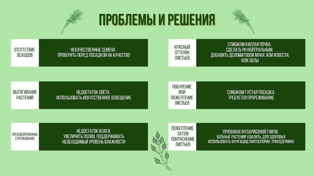 В каких элементах нуждается растение