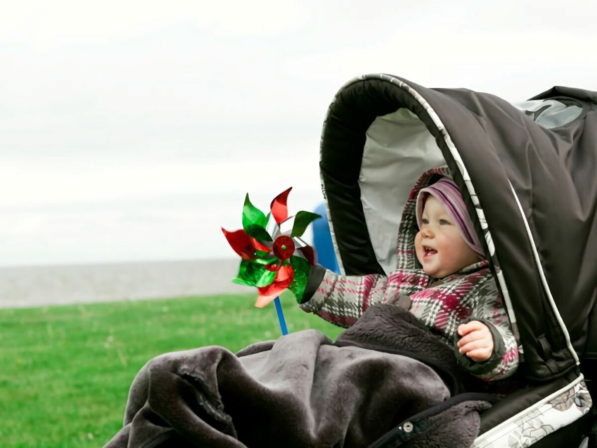 Фото из Яндекс. Картинки.