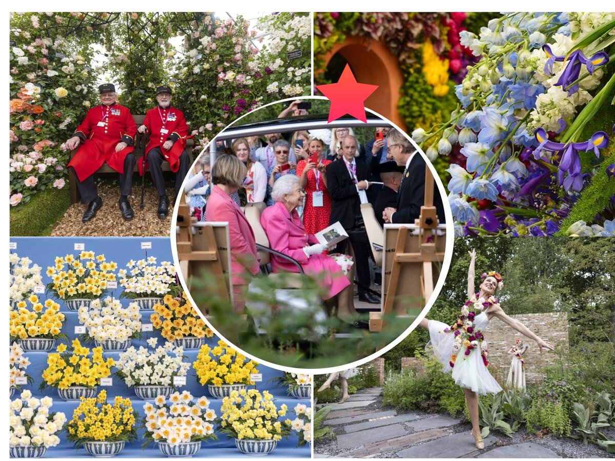 на открытие  шоу в Челси королева впервые  приехала на своем электромобиле… 