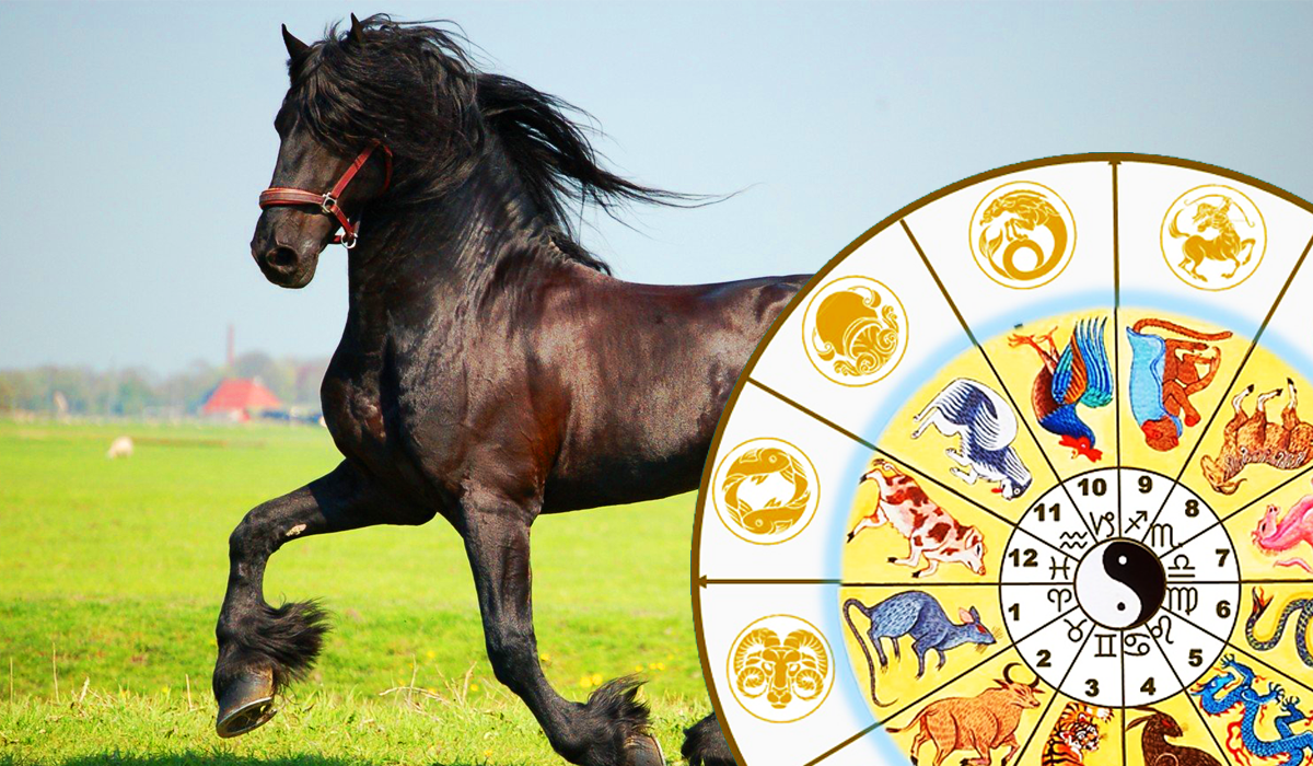 Лошадь по знаку зодиака. Картинка лошадь гороскоп 2015. Лошадь гороскоп. Рыба лошадь астрологический психотип. Гороскоп лошадь мужчина на сегодня