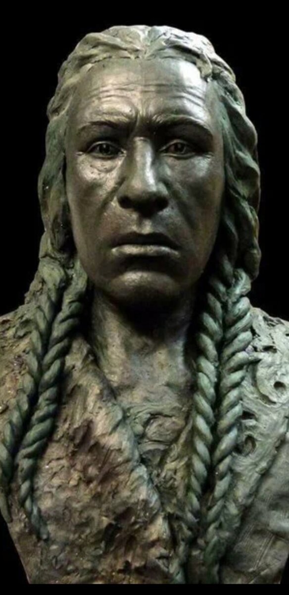 Источник янднкс картинки