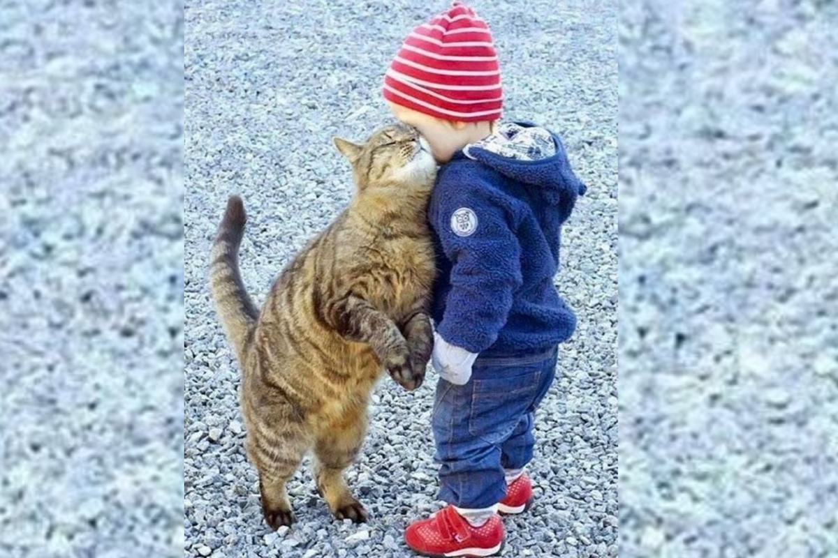 «Друзья навеки», - 15+ трогательных кадров любви между ребенком и ...