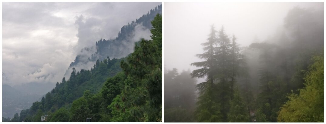 Маклеод Ганж. Автор: Алексей Васильев, 4 июля 2019