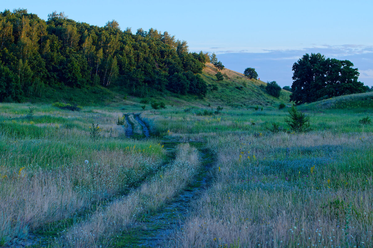 2. Вечерние луга.