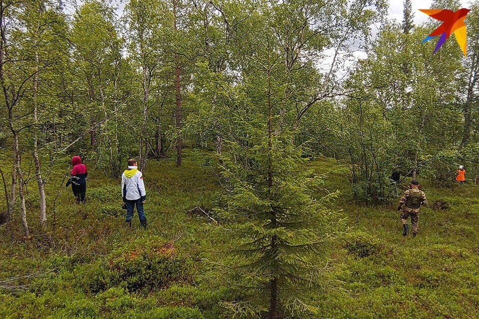     У каждой команды был свой квадрат для поисков Мария ПАШЕНКОВА