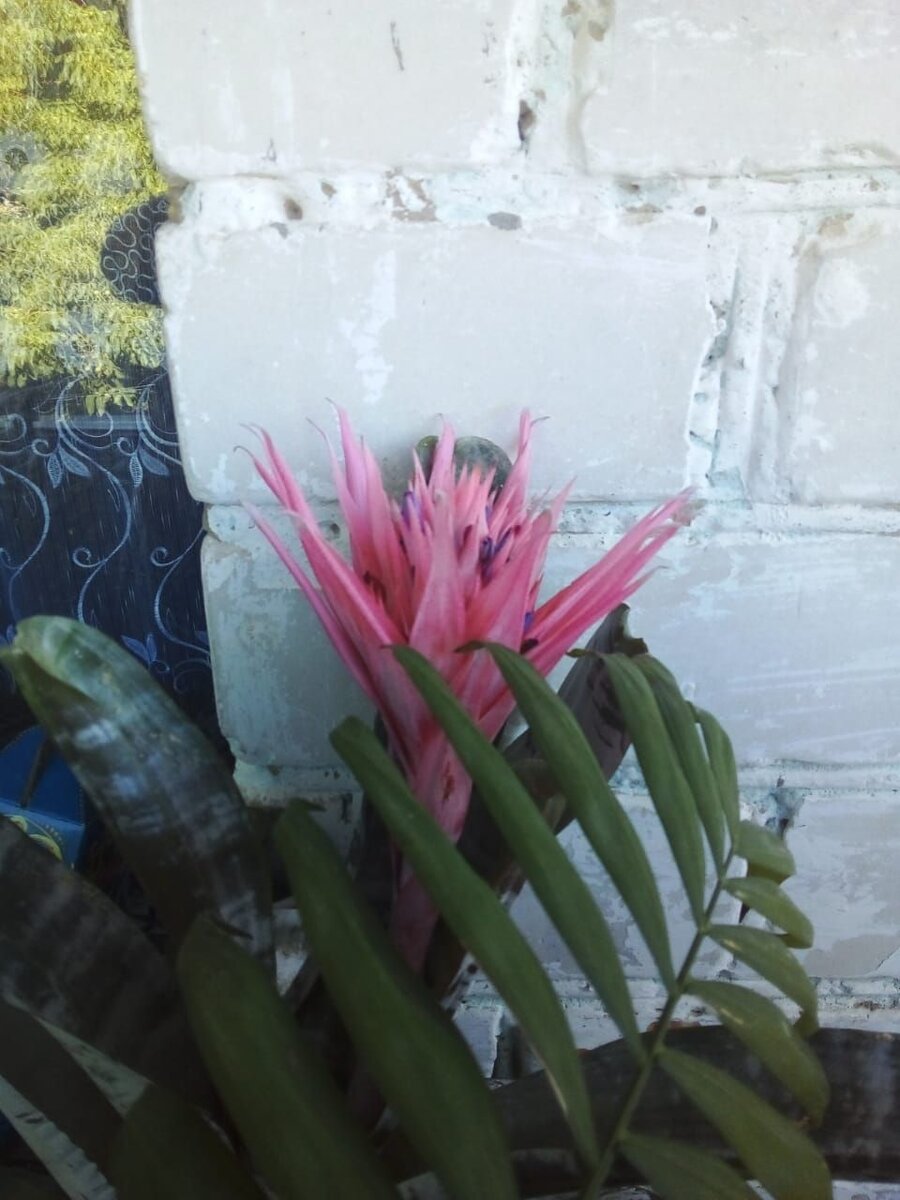 фото месяц назад