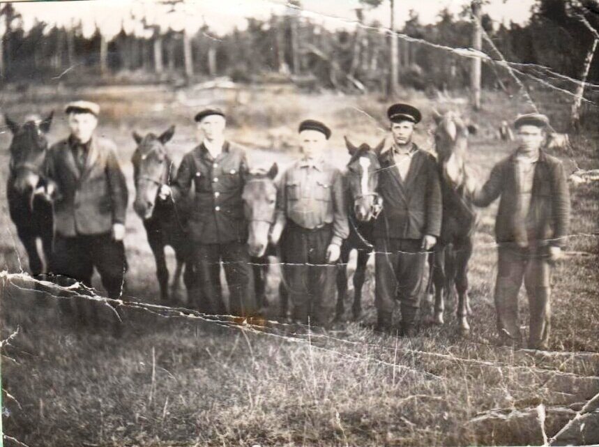 На лесозаготовках