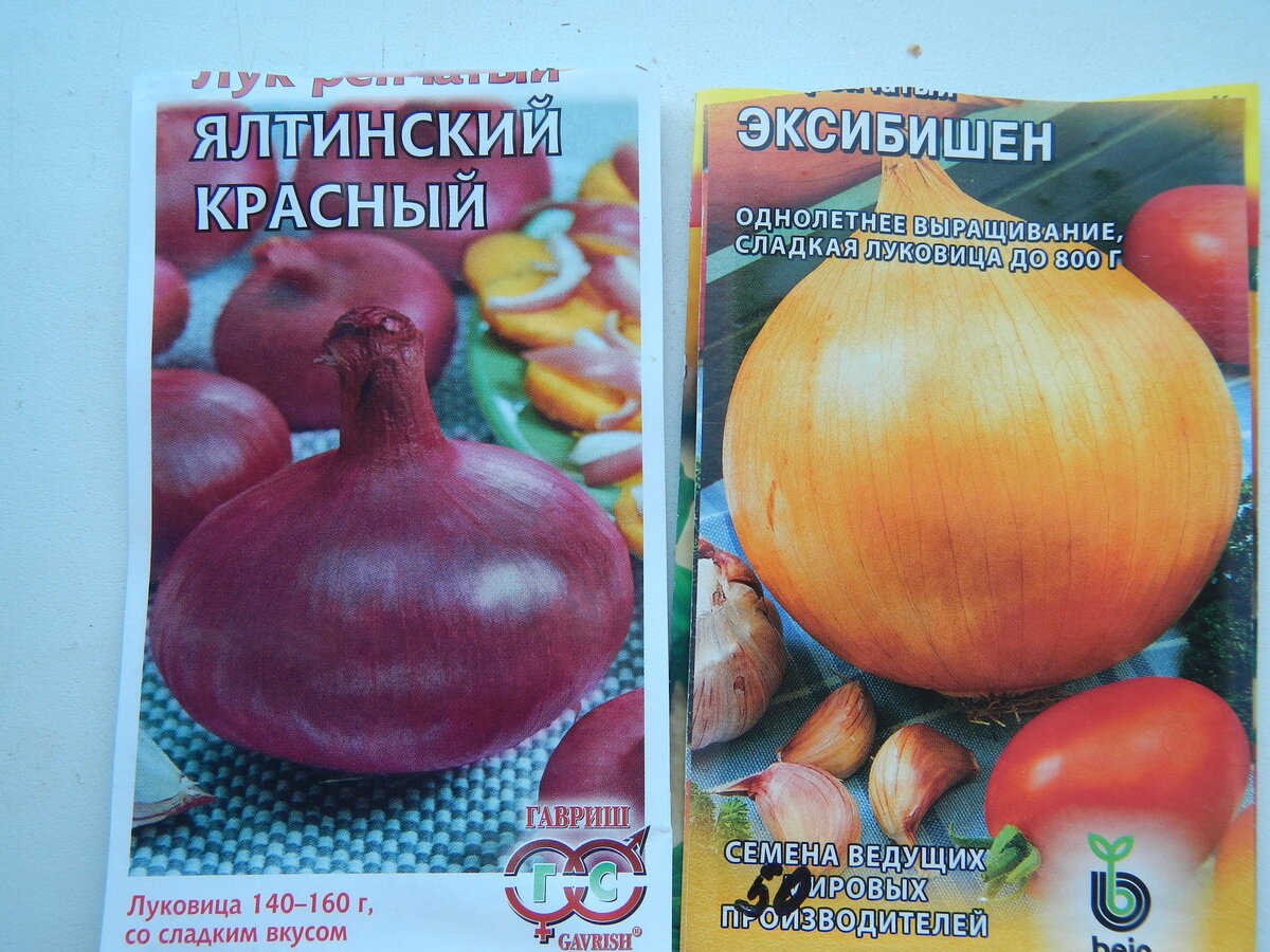 Лучшие сорта в этом сезоне