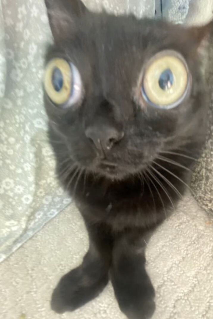 спасибо за 20 подпищиков ❤️🥰