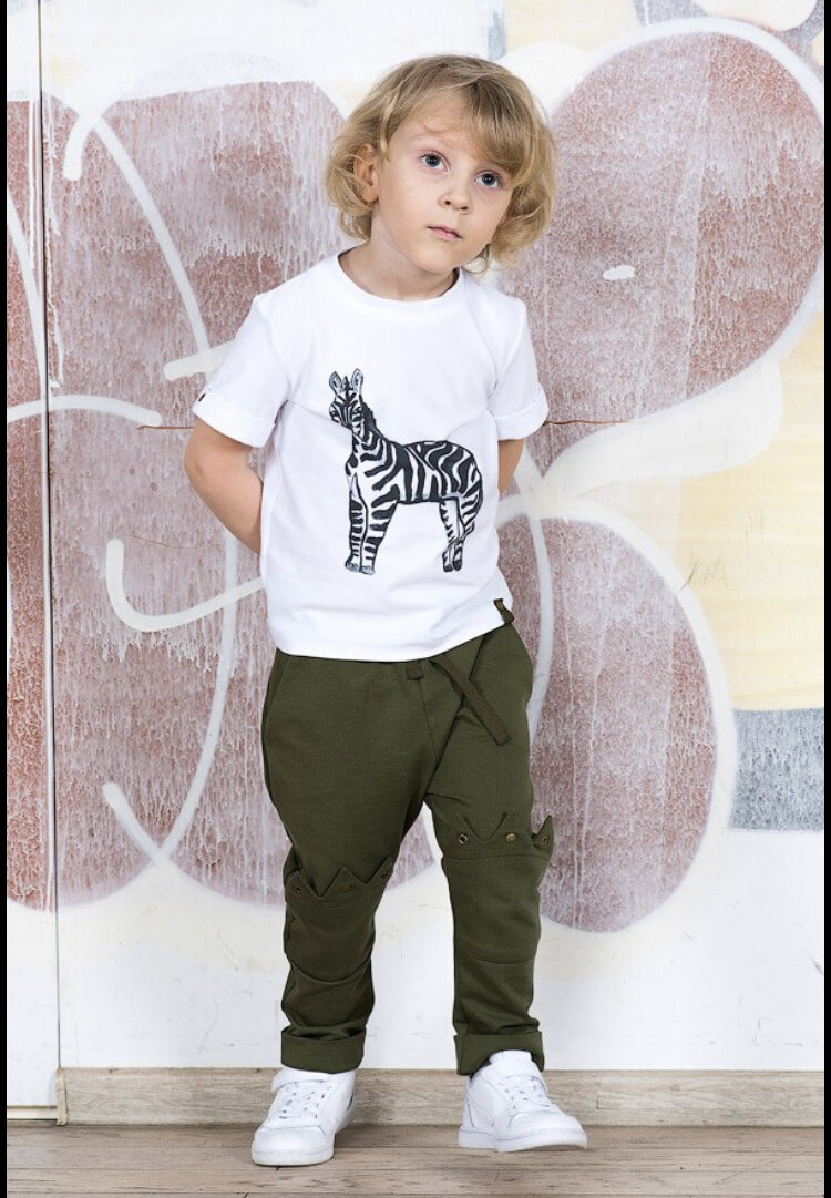 Стильные брюки и футболка Зебра 