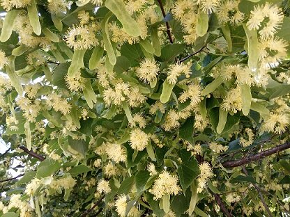 Фотография из личного архива автора