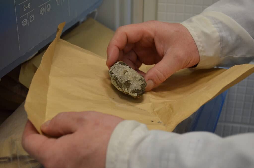    Образцы лишайников хранят с камнями в бумажных пакетах / ©Пресс-служба УрФУ