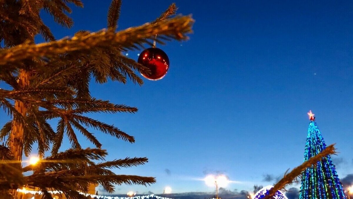     Отменят Новый год в Петрозаводске или праздничные мероприятия, запланированные ранее, пройдут в обычном режиме и формате — разбираемся вместе в этом материале.