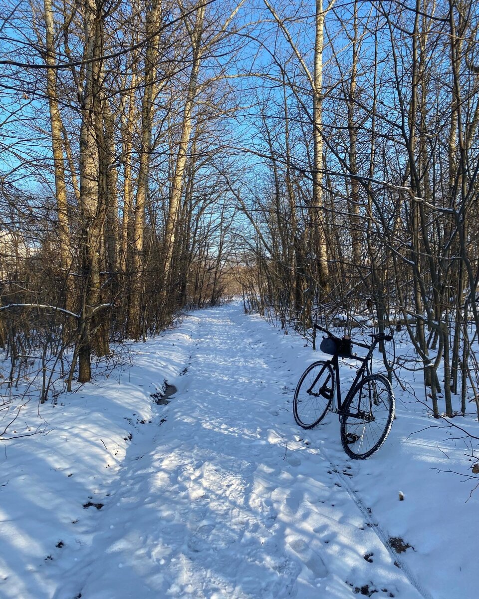 В начале 90­х археологи обнаружили древнее поселение, располагавшееся на берегу нынешнего Силикатного пруда. Здесь были найдены фрагменты керамики, ученые предположили, что возраст находок — более 10 тысяч лет до н.э. Прокуровское поселение отнесли к древнейшим археологическим памятникам Орловской области и присвоили ему статус объекта культурного наследия.