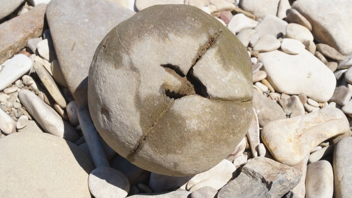 Шар из реки Шепси