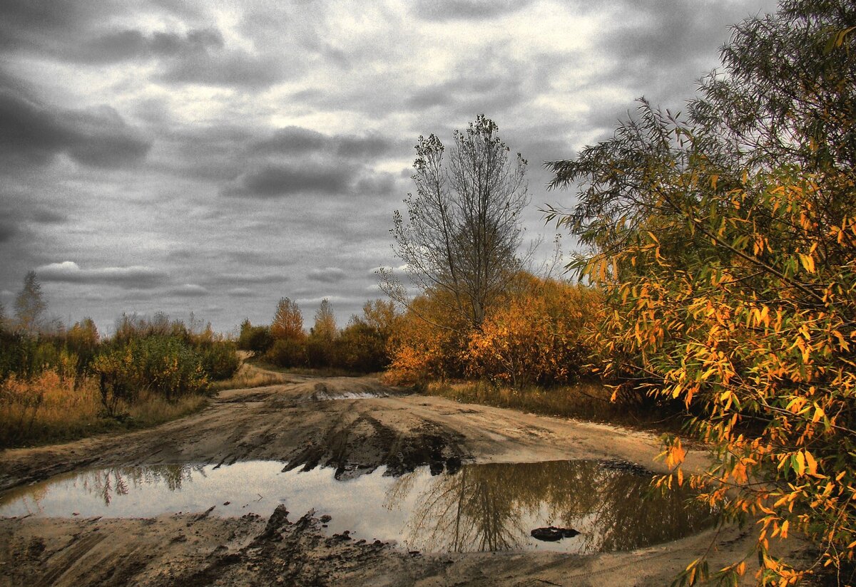 фото с просторов интернета