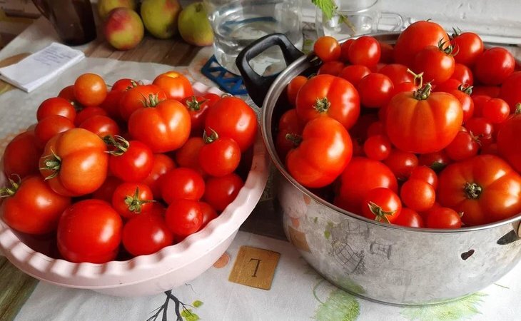    Календарь садово-огородных работ на сентябрь 2023