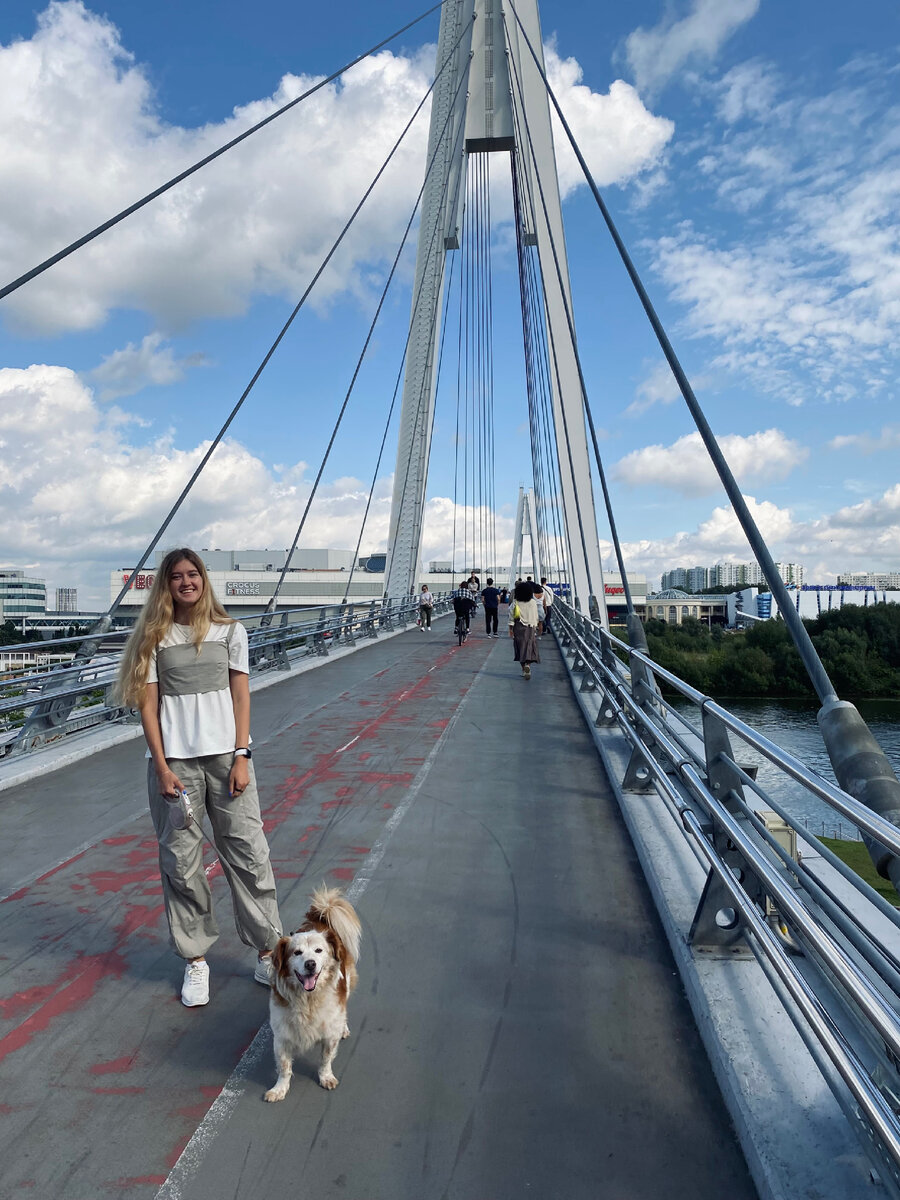 Павшинский мост 
