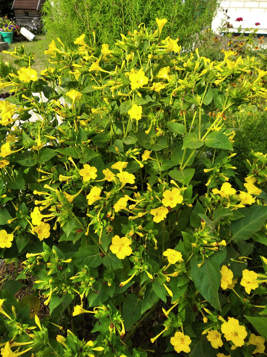 Красота ведь!