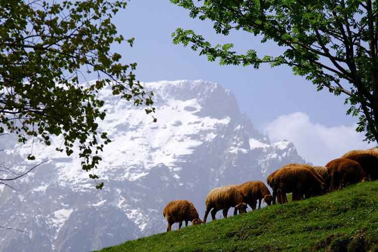 Село Лаза Губинского района. Вид на Шахдаг