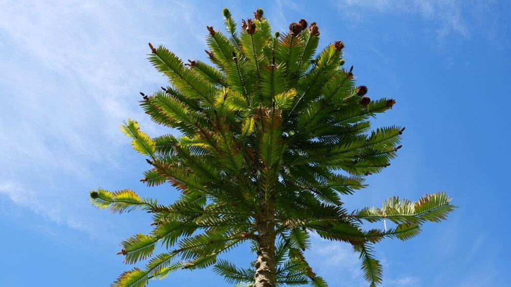    Фото: Shutterstock