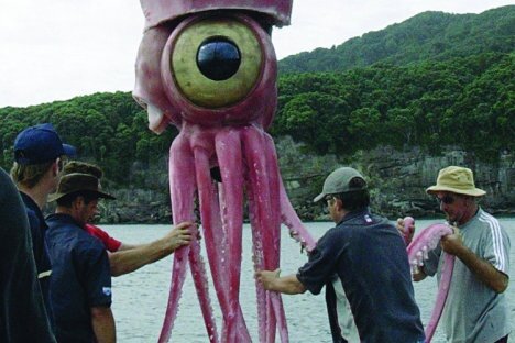 Огромный кальмар