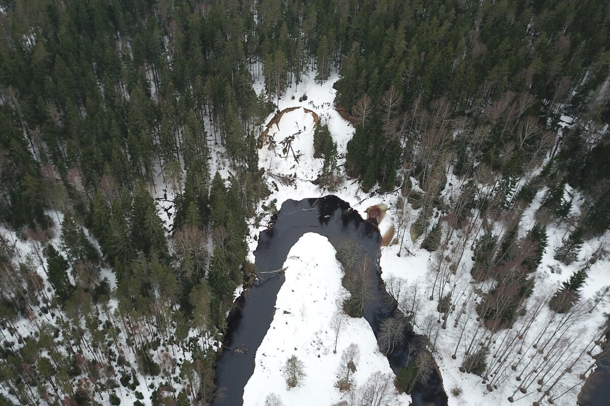 Вид с дрона на Рощинку