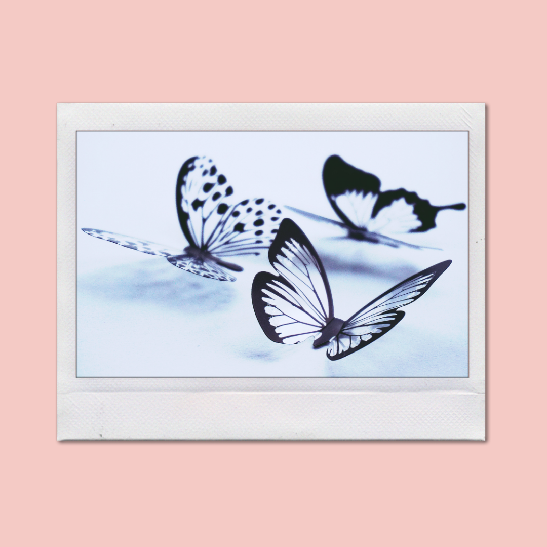 сказка про бабочку