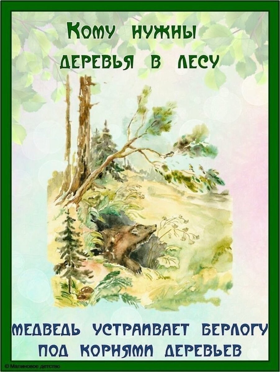 Для чего нужны деревья. Кому нужны деревья в лесу. Жлятчего нцдны деревья. Кому нужны деревья в лесу карточки для детей. Книжка в ДОУ кому в лесу нужны деревья.