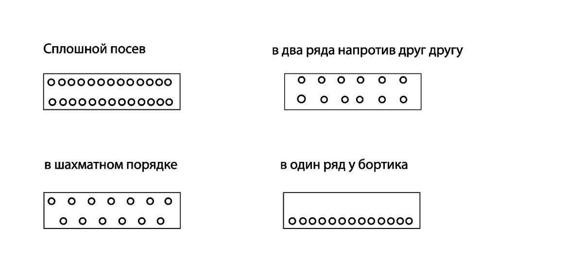 Расположение культур